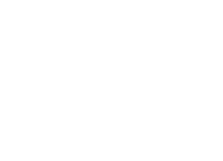 Kamedi